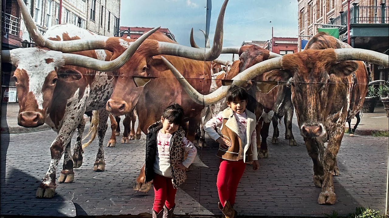 Touring the Fort Worth Stockyards the ultimate cowboy experience