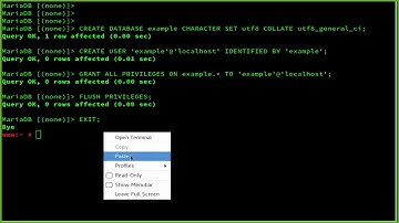 How To Install TYPO3 CMS on OpenSUSE Leap 42.2