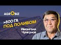 Цифровое орошение в Казахстане: как выращивают овощи и зерновые под поливом | Green Star | AgroBiz