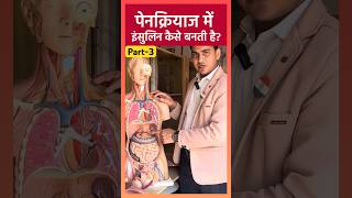 Part-3 Diabetes || Pancreas में insulin कैसे बनती है shorts viral diabetes