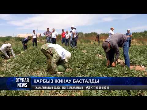 Жетісайлық қарбыздың бір келісі – 220 теңге