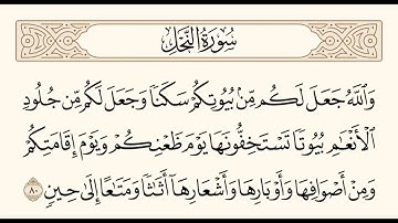 سورة النحل الآية 80