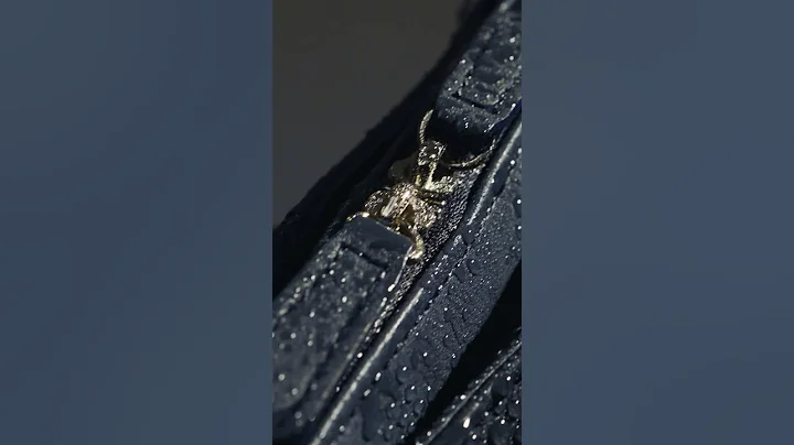 雨你同行的好伙伴，Plota 防水两用公事包 - 天天要闻