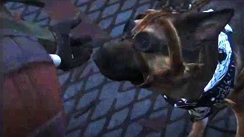 Fallout 4 #10 Following Dogmeat, searching for Kellogg