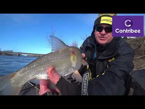 Video: Ar galite žvejoti Cunningham krioklyje?