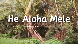 Sprung Monkey - &quot;He Aloha Mele&quot; (Unofficial Music Video)