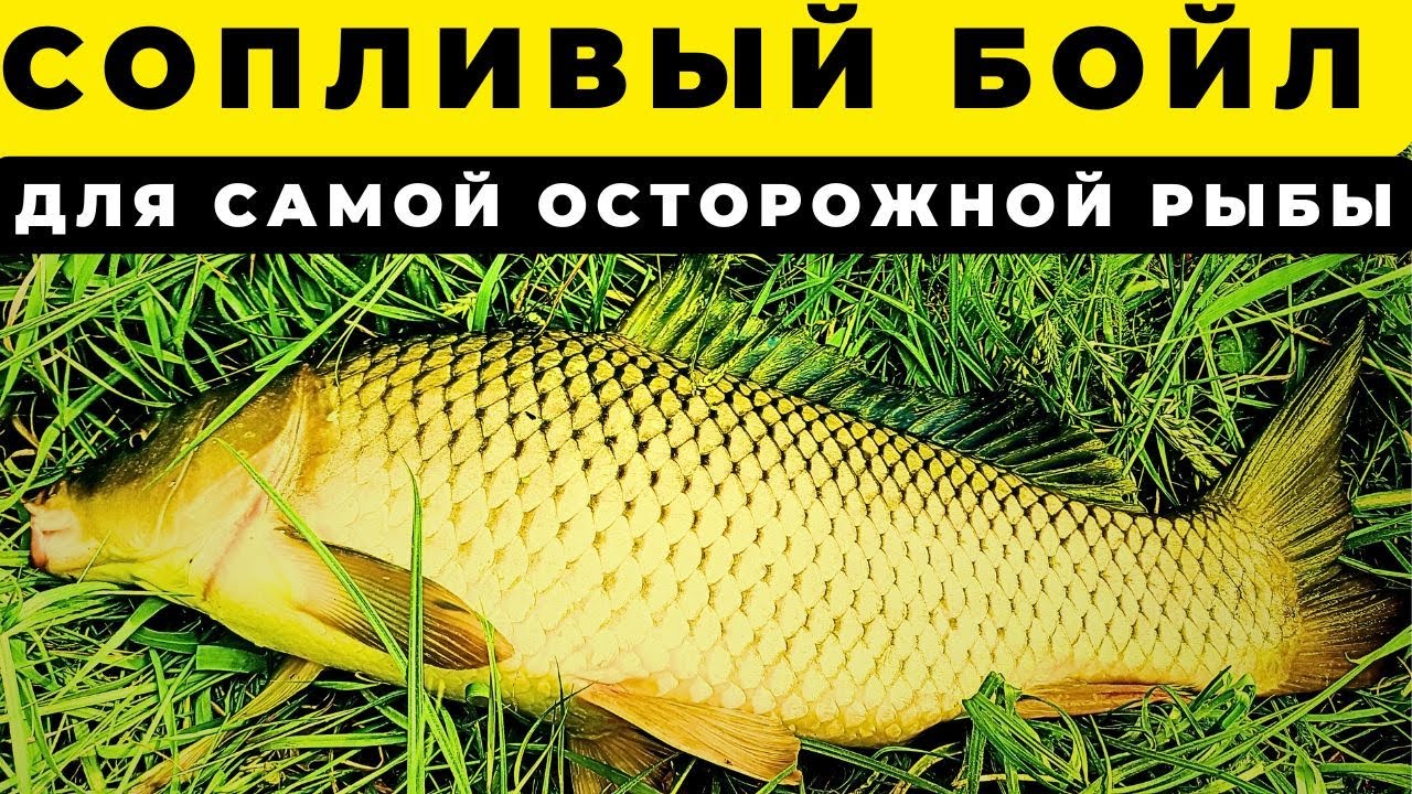 И почему эта шикарная идея не пришла раньше СОПЛИВЫЙ БОЙЛ