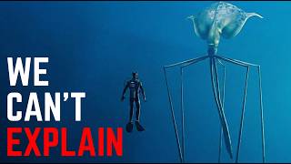 Why Deep Sea Creatures Get Creepier the Deeper You Go | Documentary For Sleep