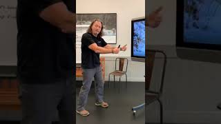 Day 127   Stimulus and Local Enhancement