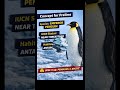 Emperor Penguins &amp; Global Warming #environmentalawareness #environment #climatechange #upsc2026