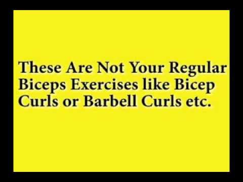 workout back How To Build Biceps At Home [In Just 2 Weeks OR Less]