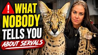 Things to know about servals! #viral #youtubeshorts #trending #shortvideo #viralvideo #subscribe