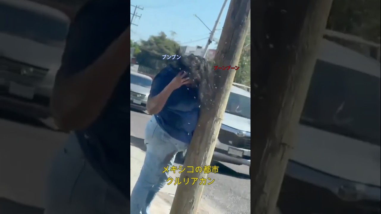 メキシコで女性が蜂に200回刺され、特殊薬剤で命がけの救出　#蜂