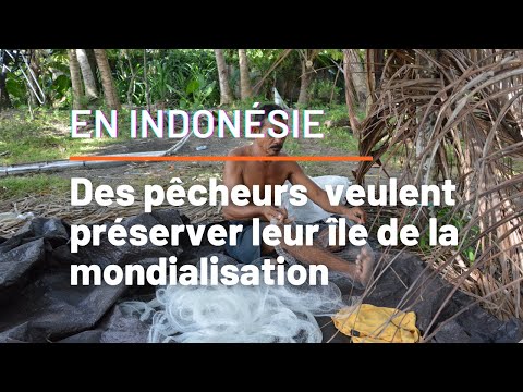 Vidéo: À La Recherche De La Pêche Au Souffle En Indonésie