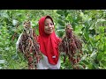 Rujak Buah Buni | Buah Langka | Indahnya Hidup Di Desa