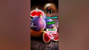 فضل قراءة سورة التين