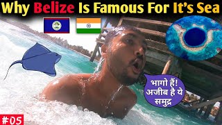 What To Do In San Pedro Belize 🇧🇿. Blue Hole ? Stingray! Belize Hindi Vlog