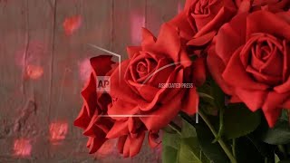 A Valentine's bouquet that lasts? Artificial flowers could be the answer