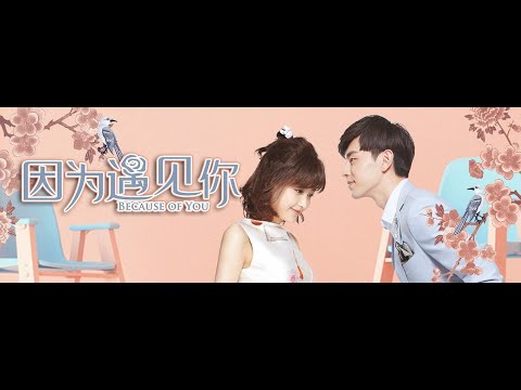 [Playlist] OST 因为遇见你/Bởi vì được gặp em (Because of you)