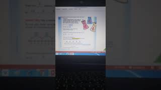 CHAPTER 5 LESSON 3  GRADE 3