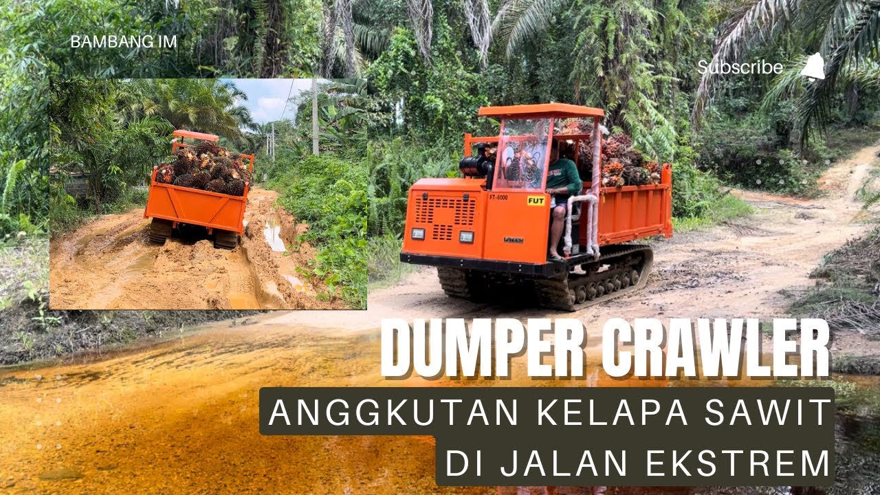 DUMPER CRAWLER UNTUK ANGKUTAN BUAH KELAPA SAWIT DI JALAN EKSTREM KALIMANTAN BARAT