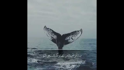 تلاوه خاشعه من سورة يونس