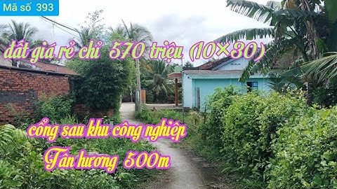 Bán đất giá  570 triệu  (10×30) ở gần khu công nghiệp Tân hương Tiền Giang@ms393