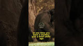 Discover the key strategies, productivity hacks, and effective study methods.