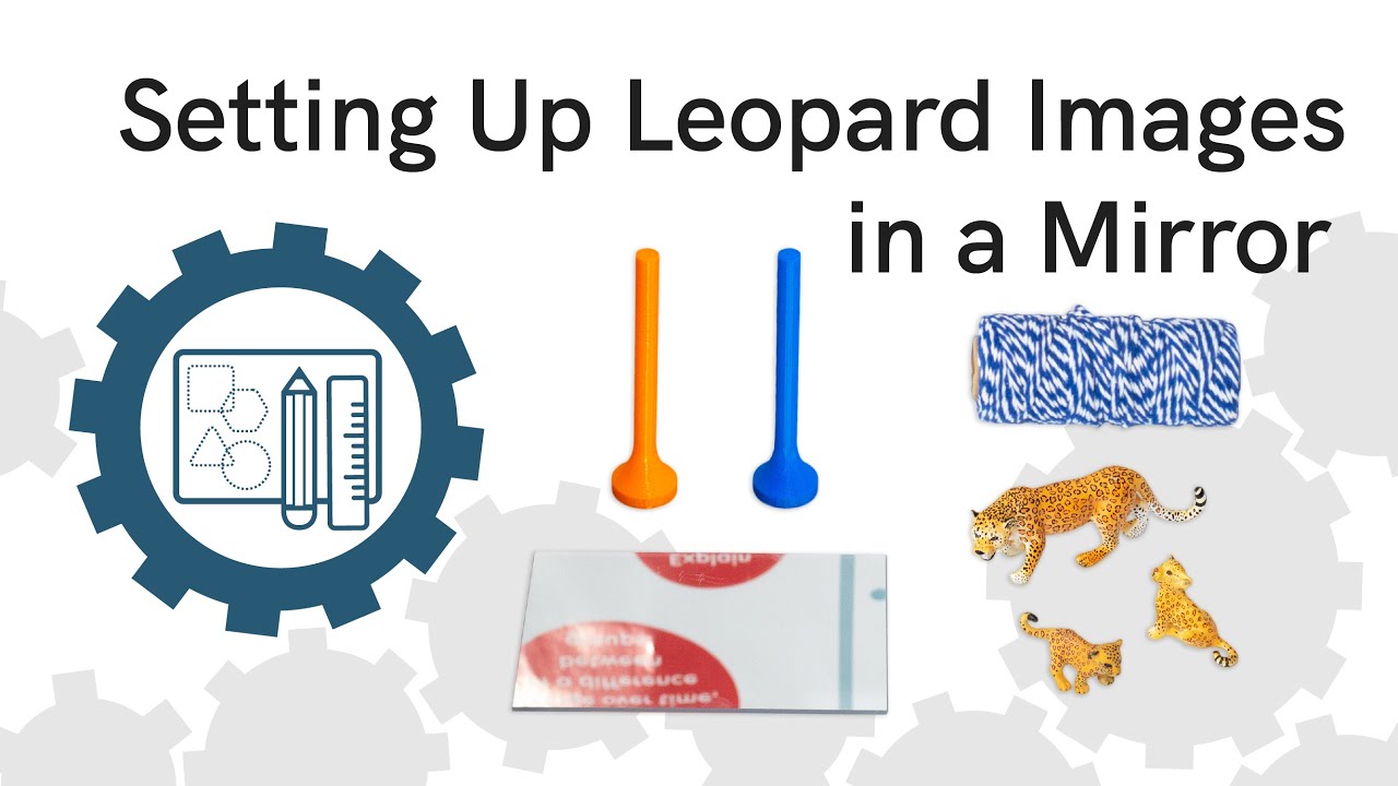 Kit Preparation | Leopard Images in a Mirror