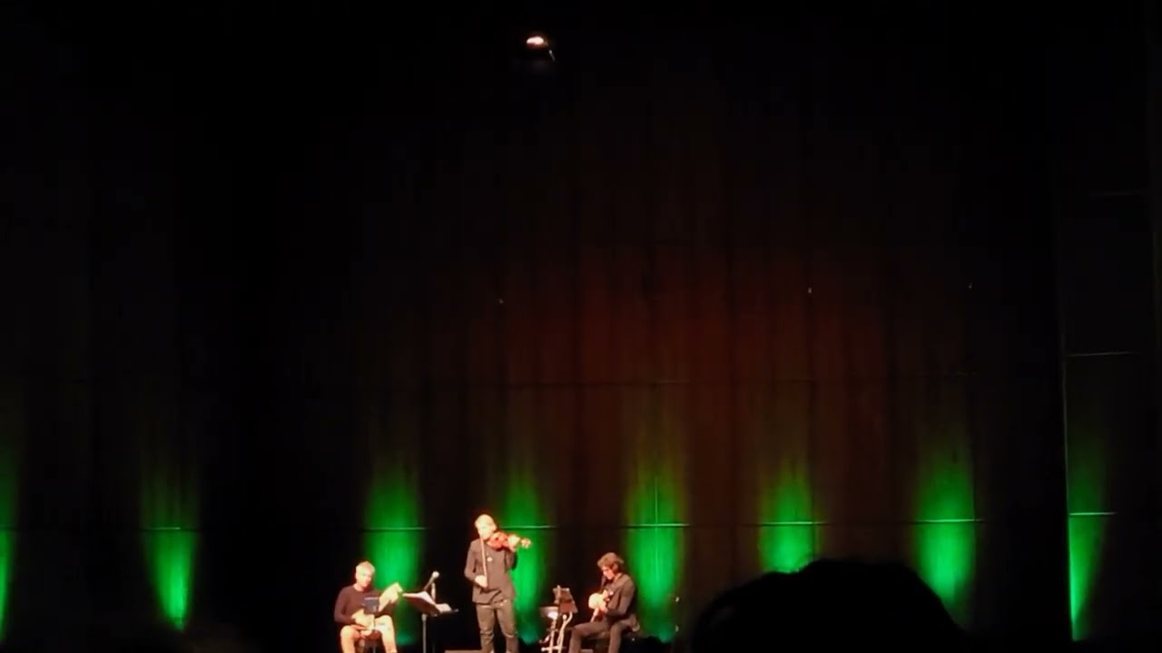 David Garrett Iconic Tour Mannheim 19.3.23    💚Greensleeves 💚