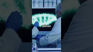 Robust Salmon Species Discrimination via DNA Fragments #sciencefather #researchawards #fosawards