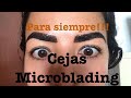 Cejas microblading (pelo a pelo) + sombreado