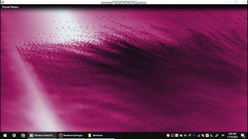 windows media player of visualization battery - sleepyspray