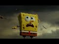 Sponge Out Of Water Pelican Island Scene Sponge Out Of Water Pelican Island Scene