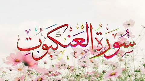 [تلاوة من سكون الليل | سورة العنكبوت (كاملة)  طارق محمد]
