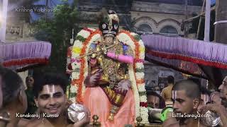 Sri Thelliyasingar Brahmotsavam Day 1 Evening - Pinnaimara vahanam