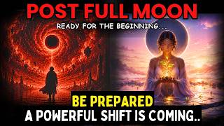 The Morning After the New Moon — Your Seed Is Already Growing