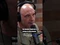 Japanese Hornets vs. Honey Bees - Joe Rogan