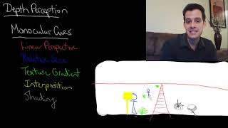 Depth Perception Intro Psych Tutorial #57