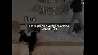 Tuttu Rose Koltukların Arasına Düşer