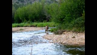 Issues Tracking 2013 NPS Budget Cut