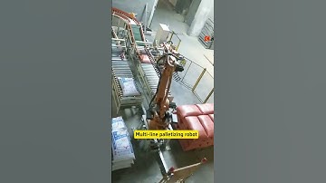 Multi-line palletizing robot #machine #robotic #palletizer #industrial