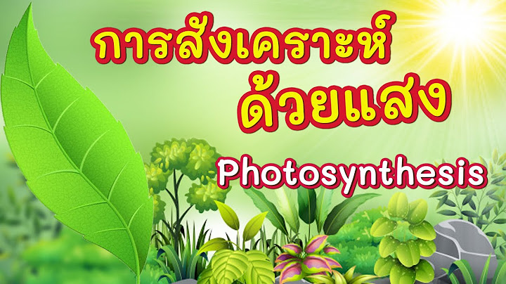 การจ ดก จกรรมอย างม ค ณภาพ ม ขบวนการจ ดอย างไร