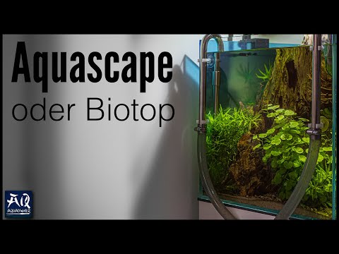 Was wäre wenn mein Biotop ein Aquascape wäre? | AquaOwner