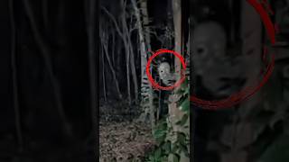 CORPO.SECO FOI GRAVADO VIDEO REAL #sobrenatural #paranormal #assustador #assustadores #suspense