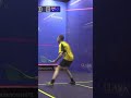 Great rally at the 2019 WSF Men’s World Team Squash Championship! #squash #wsfmwt