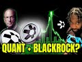 WHAT IF: Quant Merges with BlackRock Tomorrow?