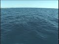 [4K][HD][SD]🇫🇯Beyond the Blue: A Journey Into Girmit History (Nadi to Yasawa) B-Roll 2006-2025