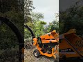 Mulching dry branches with this machine with 24 blades #mulcher #machine #machinery #garden #wood