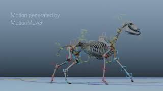 Horse Skeleton Rig